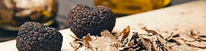 truffe provence